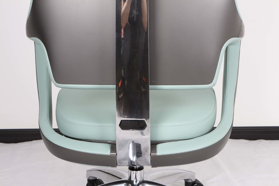 Gaslift Low Back Executive Swivel Desk Chair Fixed Armrest