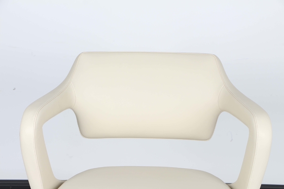 Gaslift Low Back Executive Swivel Desk Chair Fixed Armrest