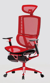 Adjustable Ergonomic Executive Leather Chair Polyester With Lumbar Support